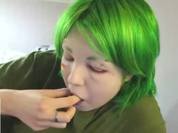 littlekittensta