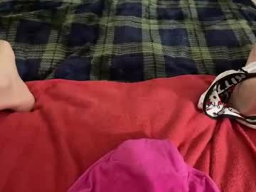 mykittyneedsu